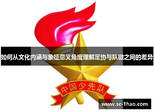 如何从文化内涵与象征意义角度理解足协与队徽之间的差异