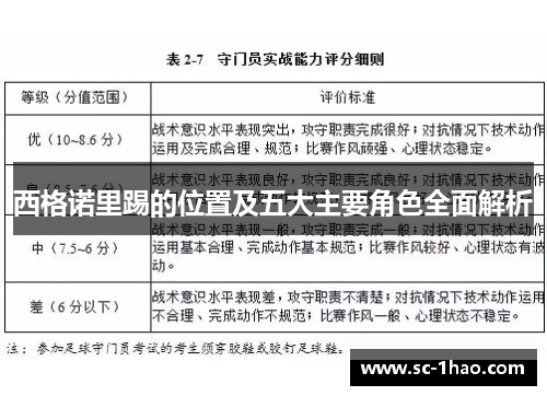 西格诺里踢的位置及五大主要角色全面解析