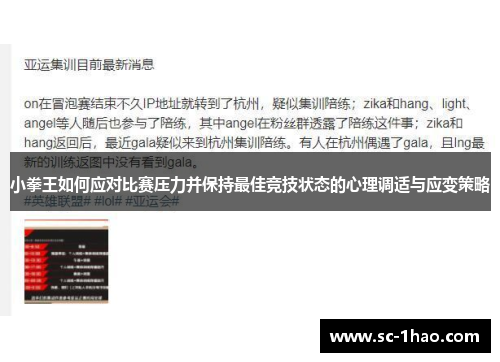 小拳王如何应对比赛压力并保持最佳竞技状态的心理调适与应变策略