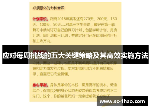 应对每周挑战的五大关键策略及其高效实施方法 应对每周挑战的五大关键策略及其高效实施方法