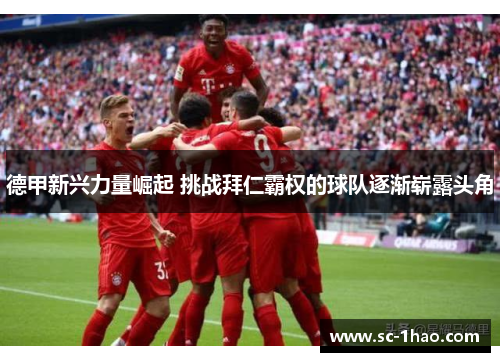 德甲新兴力量崛起 挑战拜仁霸权的球队逐渐崭露头角
