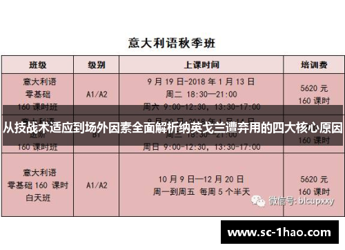 从技战术适应到场外因素全面解析纳英戈兰遭弃用的四大核心原因
