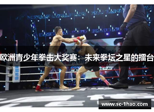 欧洲青少年拳击大奖赛：未来拳坛之星的擂台