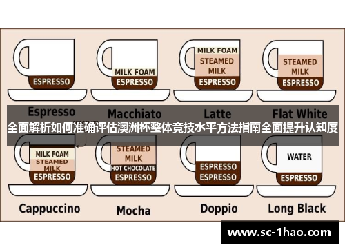 全面解析如何准确评估澳洲杯整体竞技水平方法指南全面提升认知度 全面解析如何准确评估澳洲杯整体竞技水平方法指南全面提升认知度