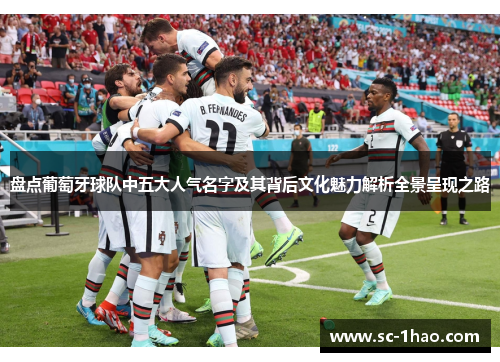 盘点葡萄牙球队中五大人气名字及其背后文化魅力解析全景呈现之路