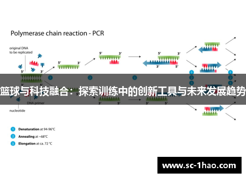 篮球与科技融合:探索训练中的创新工具与未来发展趋势 篮球与科技融合:探索训练中的创新工具与未来发展趋势