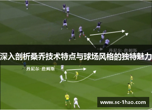 深入剖析桑乔技术特点与球场风格的独特魅力