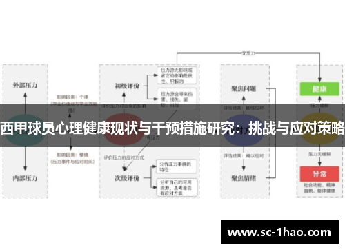 西甲球员心理健康现状与干预措施研究：挑战与应对策略