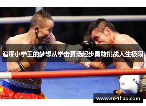 追逐小拳王的梦想从拳击赛场起步勇敢挑战人生极限 追逐小拳王的梦想从拳击赛场起步勇敢挑战人生极限